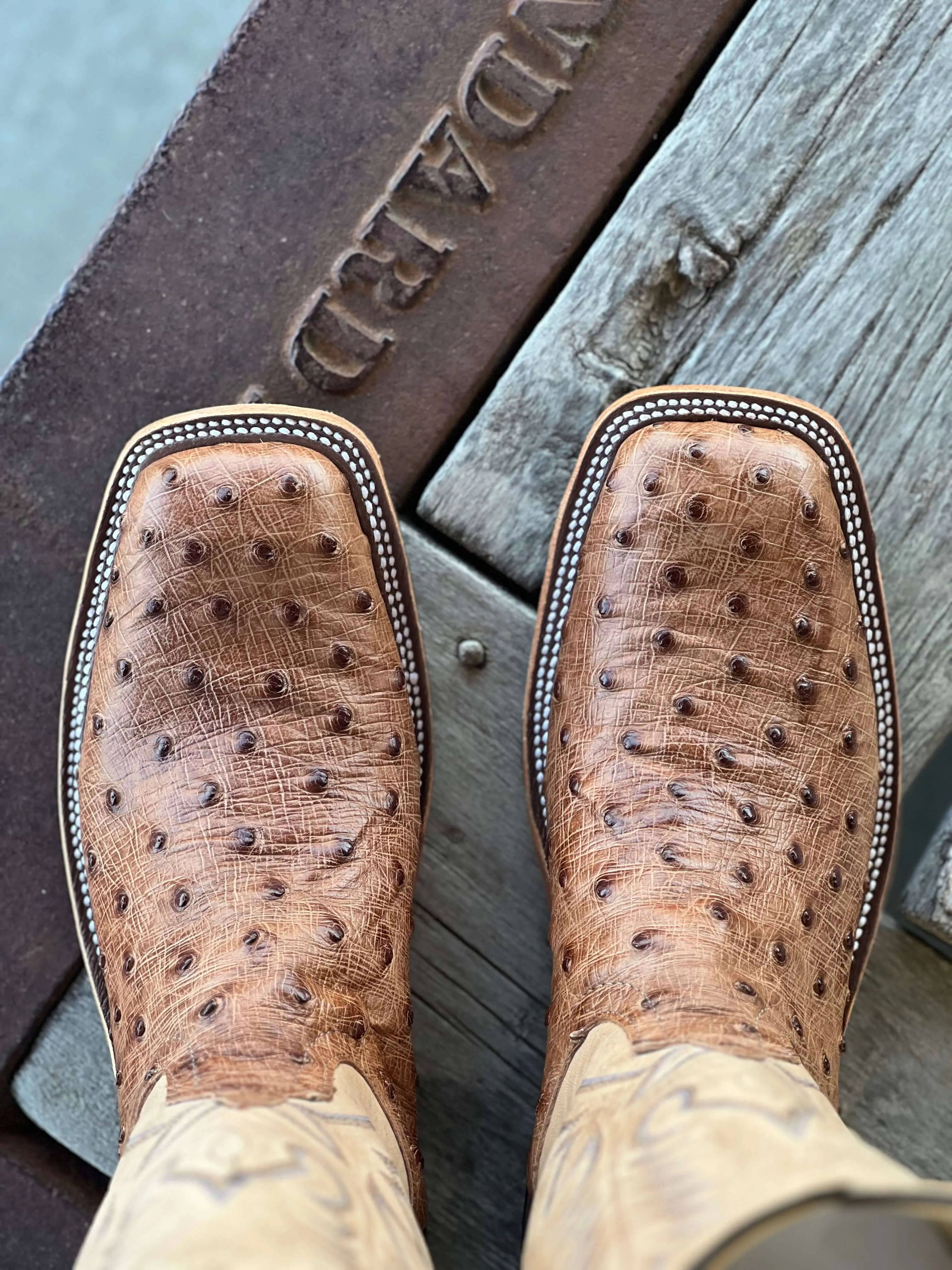 Anderson Bean | Brandy Bruciato Full Quill Ostrich Boot
